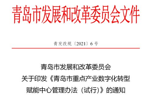 首批申报即将展开 青岛出台重点产业数字化转型赋能中心管理办法